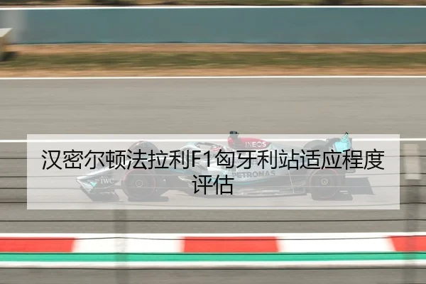 han-mi-er-dun-fa-la-li-xiong-ya-li-zhan-shi-ying-cheng-du-ping-gu-3-626.jpg
